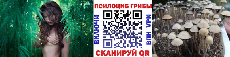 Галлюциногенные грибы ЛСД  купить наркотик  Сольвычегодск 